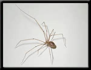 JWK Pest Control Services- Rentokil-Initial - Click Find 8