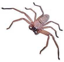 JWK Pest Control Services- Rentokil-Initial - Click Find 10