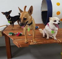 Gympie Doggy Day Care - Click Find
