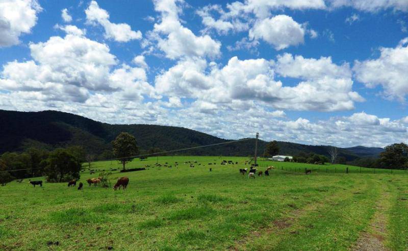 Valuers Real Estate Click Find