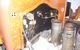 Marcia Street Fabricators - thumb 1
