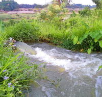Taree Pumps  Irrigation - Click Find