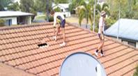 Ninja Roofing Pty Ltd - Clickz 0