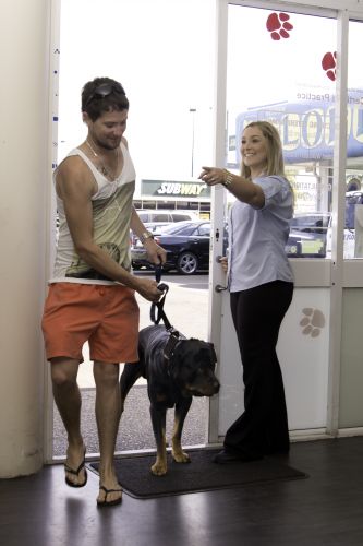 Dog Cat Clipping Grooming Bundaberg QLD Click Find