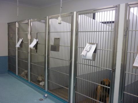 Marlin Coast Veterinary Hospital - Click Find 0