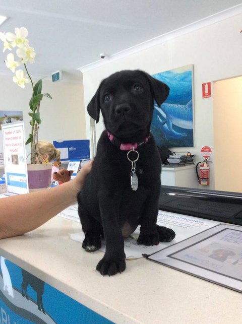 Marlin Coast Veterinary Hospital - Click Find 4