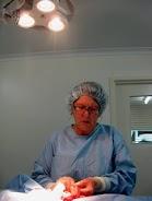 Orange Vet - Lawyer Find 0