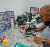 Blue  White Veterinary Surgery Woolgoolga - Bet 4u