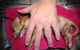 Long Jetty Vet Clinic - thumb 1