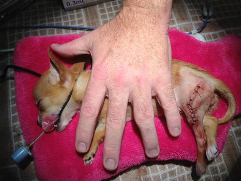 Long Jetty Vet Clinic - Click Find 1