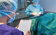 Better Pet Vets Northern Beaches - thumb 3