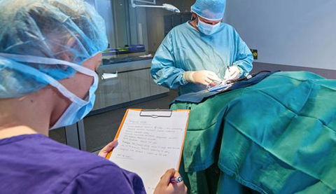 Better Pet Vets Northern Beaches - Lawyer Find 3