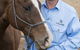 Stabler & Howlett Veterinary Surgeons - thumb 2