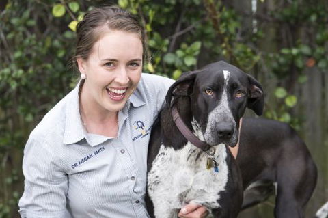 Stabler & Howlett Veterinary Surgeons - Click Find 3