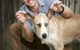 Stabler & Howlett Veterinary Surgeons - thumb 5