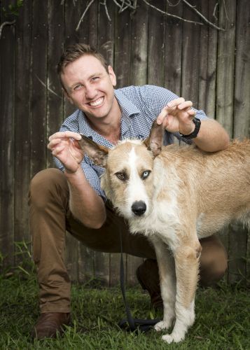 Stabler & Howlett Veterinary Surgeons - Click Find 5