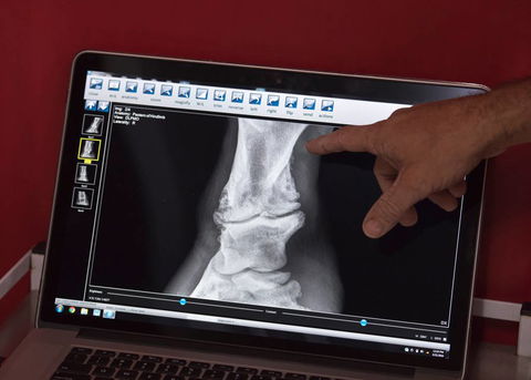 Stabler & Howlett Veterinary Surgeons - Click Find 10