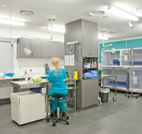 Edgeworth Animal Medical Centre - DBD
