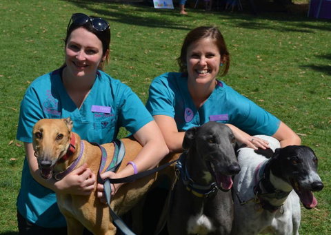 Wallsend Vet Newcastle - Click Find 0
