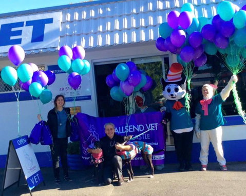 Wallsend Vet Newcastle - Click Find 1