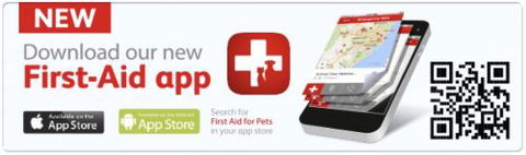 Edgeworth Veterinary Clinic - Click Find 1