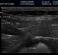 Keen Street Veterinary Clinic - Click Find
