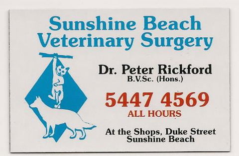 Sunshine Beach Veterinary Surgery - Bridge Guide 0