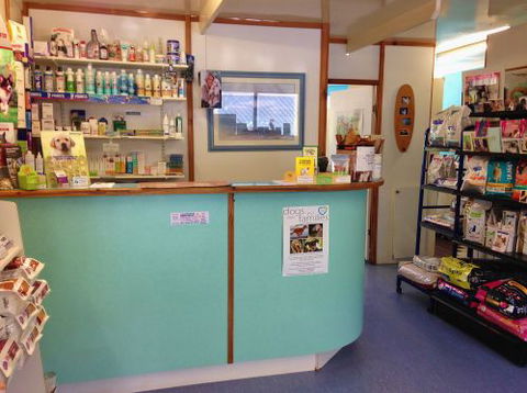 Sunshine Beach Veterinary Surgery - Bridge Guide 2