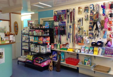 Sunshine Beach Veterinary Surgery - Bridge Guide 4