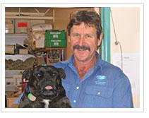 Cooroy Veterinary Surgery - Bridge Guide 0