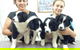 Cooroy Veterinary Surgery - thumb 2
