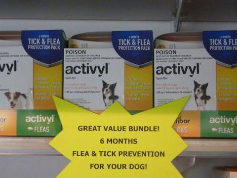 Cooroy Veterinary Surgery - Bridge Guide 3