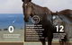 Cooroy Veterinary Surgery - thumb 4