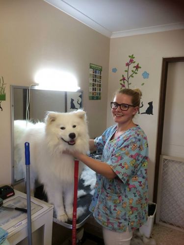 Eumundi Vet - Click Find 2