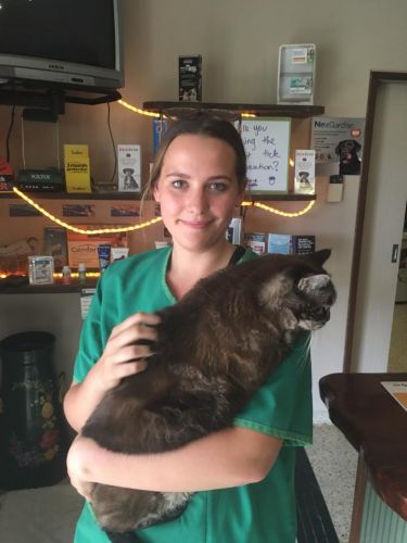 Eumundi Vet - Click Find 4