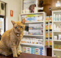Wulguru Veterinary Clinic - Bet 4u