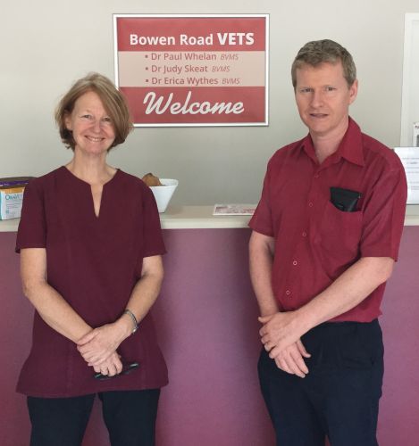Bowen Road Vets - Bridge Guide 0