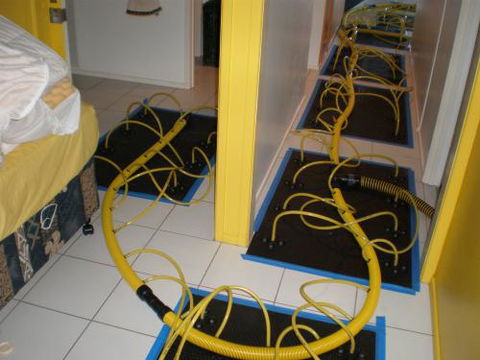 DRIH Technologies - Click Find 2