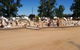 Riverside Garden Centre Dubbo - thumb 4