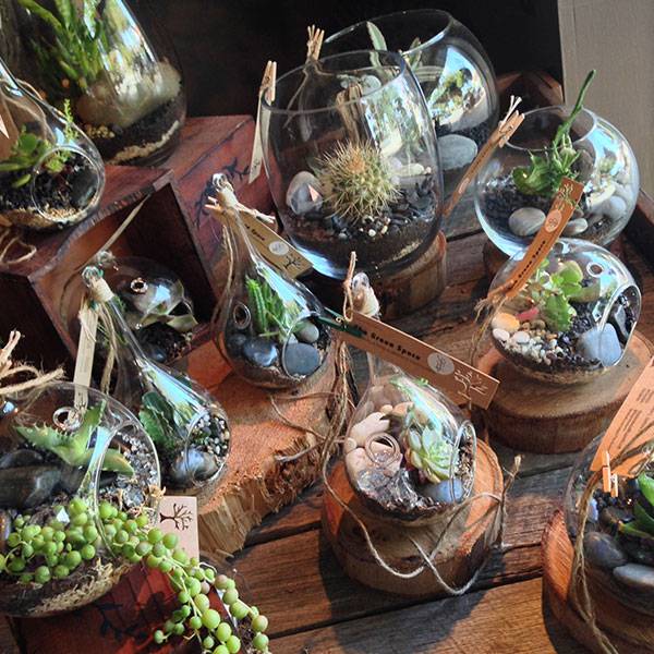 Florists Woolgoolga NSW Click Find