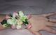 Deborah’s Flowers - thumb 0