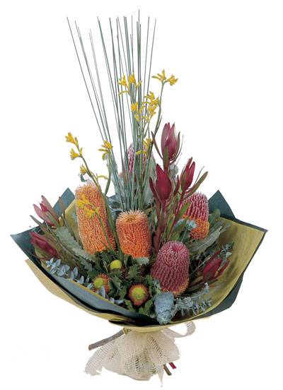 Buchanan NSW Bet 4u
