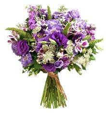 Alstonville Florist - Bet 4u 9