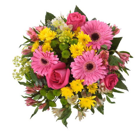 Alstonville Florist - Bet 4u 11