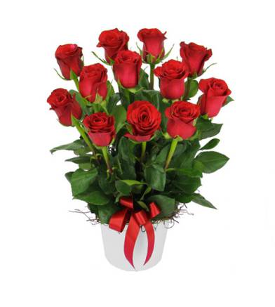 Alstonville Florist - Bet 4u 13