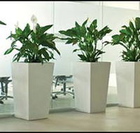 Living Green Indoor Plant Hire - Click Find