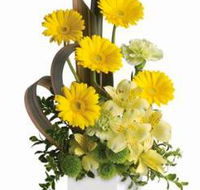 The Flower Station Townsville - Click Find