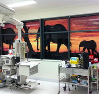 Extreme Glass Tinting Townsville - Lavinia