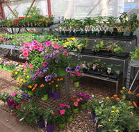 Alice Springs Nursery - Click Find