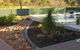 Bloomin Deserts Landscaping - thumb 2